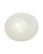Moonstone 9.92 Carat 