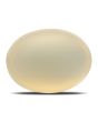 Moonstone 14.82 Carat 