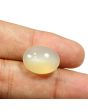 Moonstone 14.82 Carat 