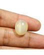 Moonstone 14.82 Carat 