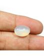 Moonstone 7.09 Carat 