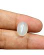 Moonstone 7.09 Carat 