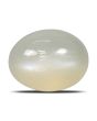 Moonstone 2.83 Carat 