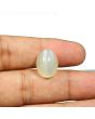 Moonstone 12.34 Carat 