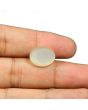 Moonstone 12.34 Carat 