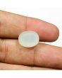 Moonstone 12.69 Carat