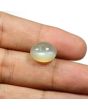 Moonstone 9.09 Carat 