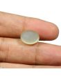 Moonstone 9.09 Carat 