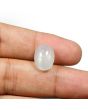 Moonstone 6.83 Carat 