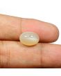 Moonstone 7.26 Carat 