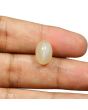 Moonstone 7.26 Carat 