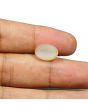 Moonstone 7.26 Carat 