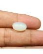 Moonstone 9.38 Carat 