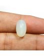 Moonstone 9.38 Carat 