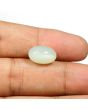 Moonstone 7.52 Carat 
