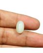 Moonstone 7.52 Carat 