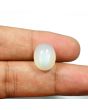 Moonstone 9.82 Carat 
