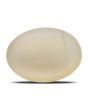 Moonstone 7.81 Carat 