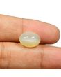 Moonstone 7.81 Carat 