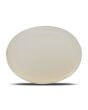 Moonstone 13.47 Carat 