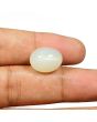 Moonstone 13.47 Carat 