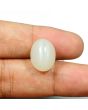 Moonstone 13.47 Carat 