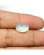 Moonstone 6.81 Carat 