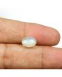 Moonstone 3.68 Carat 