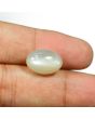 Moonstone 8.69 Carat 