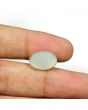 Moonstone 8.69 Carat 