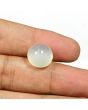 Moonstone 11.39 Carat 