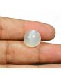 Moonstone 11.39 Carat 