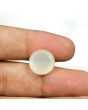 Moonstone 11.39 Carat 
