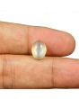 Moonstone 3.66 Carat 