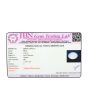 Moonstone 3.66 Carat 
