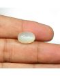 Moonstone 8.95 Carat 