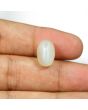 Moonstone 8.95 Carat 