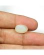 Moonstone 8.95 Carat 