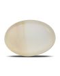 Moonstone 3.83 Carat 
