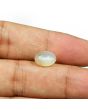 Moonstone 3.83 Carat 