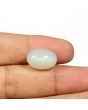 Moonstone 12.7 Carat 