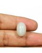 Moonstone 12.7 Carat 