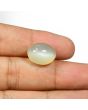 Moonstone 13.53 Carat 