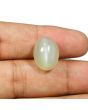Moonstone 13.53 Carat 