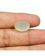 Moonstone 13.53 Carat 