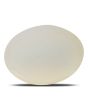 Moonstone 6.97 Carat 