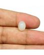 Moonstone 3.96 Carat 