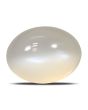 Moonstone 7.31 Carat 