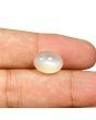 Moonstone 7.31 Carat 