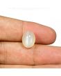 Moonstone 7.31 Carat 